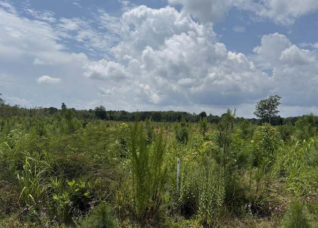 Property at TBD Cove Rd Lot 3, New Hope, NC 27944