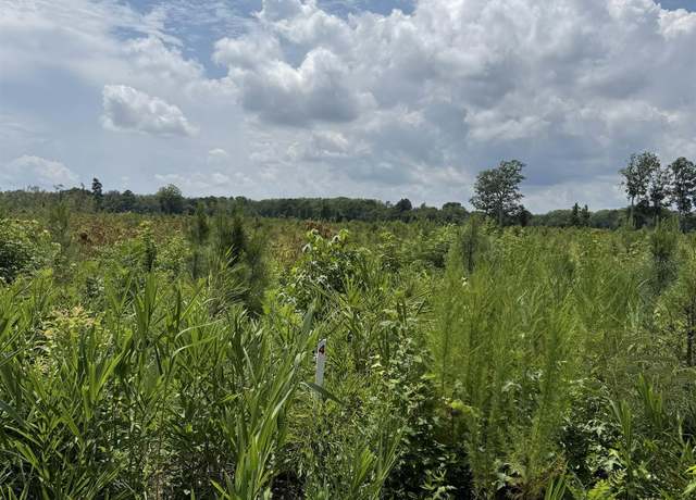 Property at TBD Cove Rd Lot 4, New Hope, NC 27944