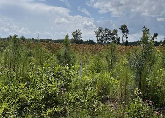 Property at TBD Cove Rd Lot 5, New Hope, NC 27944