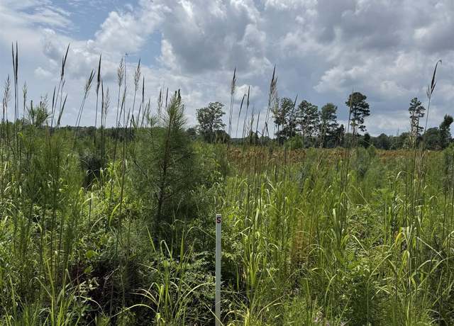 Property at TBD Cove Rd Lot 6, New Hope, NC 27944