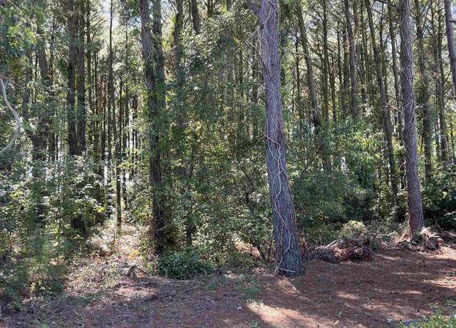 Property at Lots 1,2&3 Caratoke Hwy Lot 1, Grandy, NC 27939