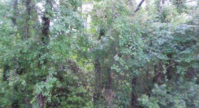 Photo of 407 Jones Ct Lot 8, Kill Devil Hills, NC 27948