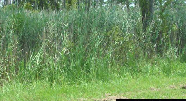 Photo of 142 Bayview Dr, Stumpy Point, NC 27978