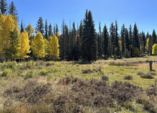 Property at 45 & 65 Apollo, Duck Creek Village, UT 84762