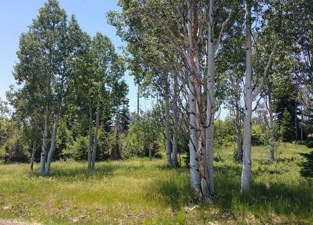 Property at 271 N Whispering Pines Rd, Virgin, UT 84779