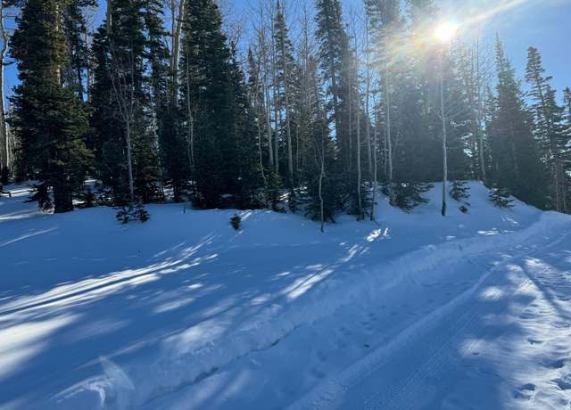 Property at 175 S Spring Cir Unit SHC u-c blk-H lot 6, Brian Head, UT 84719