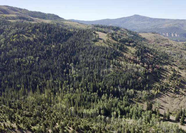 Property at 78.75 Acres, Brian Head, UT 84719