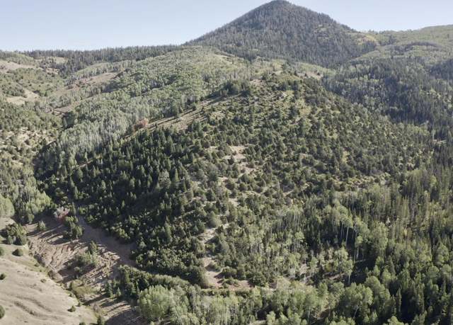 Property at 80 Acres, Brian Head, UT 84719