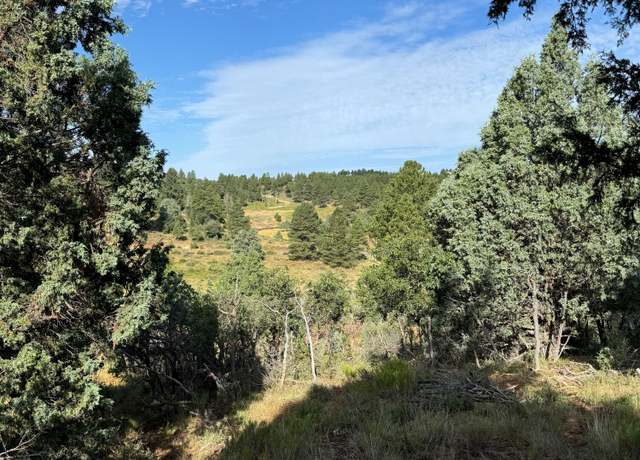 Property at 2450 W Manitoban Trail Trl, Duck Creek Village, UT 84762