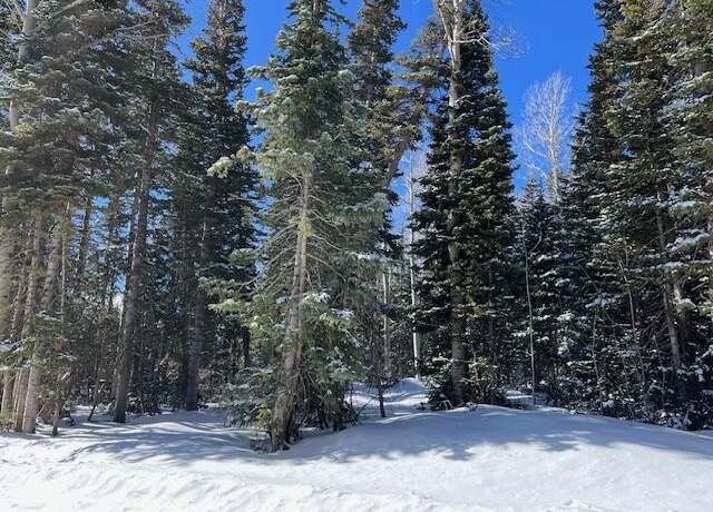 Property at 281 N Forest Dr Unit C, Brian Head, UT 84719