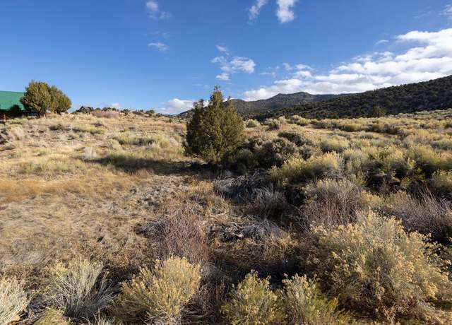 Property at Lot 303 & 304, Antimony, UT 84712