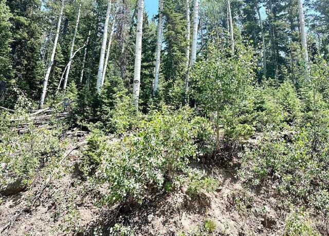 Property at 55 S Snow Shoe Dr Unit B, Brian Head, UT 84719