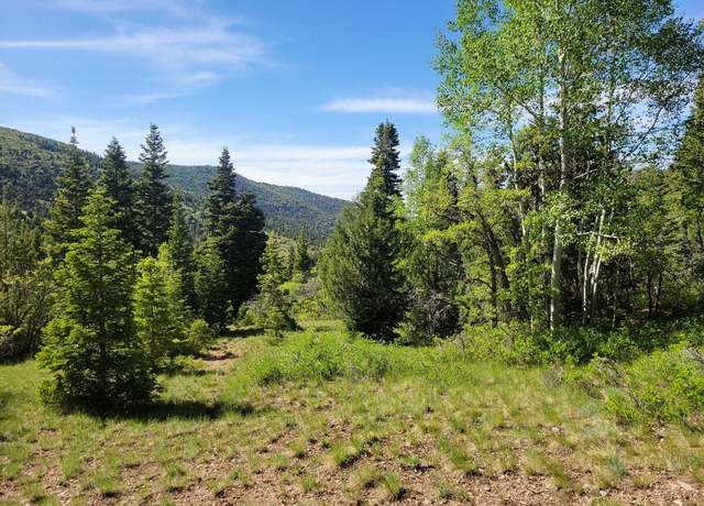 Property at Braffits Creek Lot 61&62, Brian Head, UT 84719