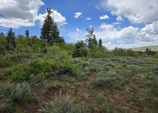 Property at Lot 10 Spring Dr, Virgin, UT 84779
