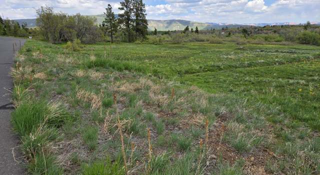 Photo of Lot 10 Spring Dr, Virgin, UT 84779