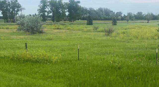 Photo of 37101 134th St, Ipswich, SD 57451