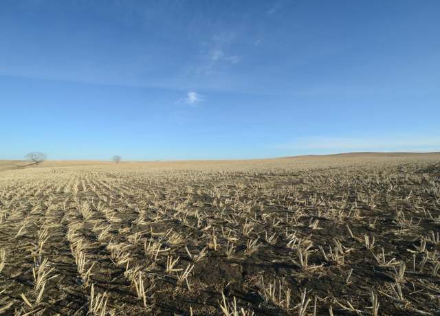 Property at NE4 Sec 21 236th St T106 R76 Ave, Kennebec, SD 57544