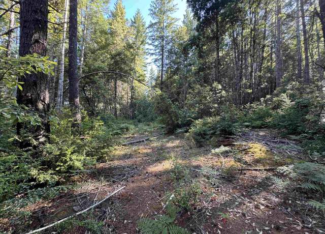Property at Fox Ridge Road, Crescent City, CA 95531