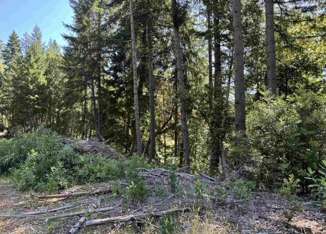 Property at 00 Big Flat Rd, Crescent City, CA 95531