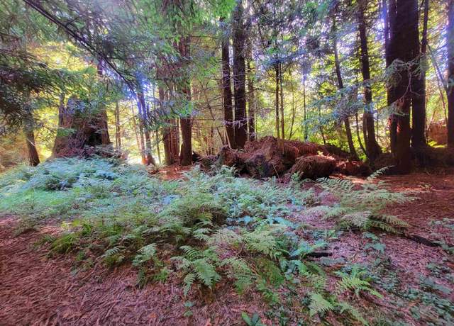 Property at 000 Cody Ln, Crescent City, CA 95531