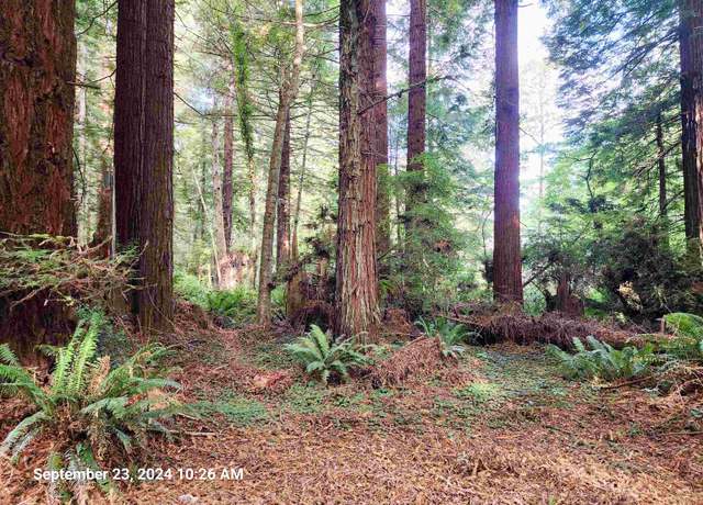 Property at 00 Sleepy Hollow Rd, Crescent City, CA 95531