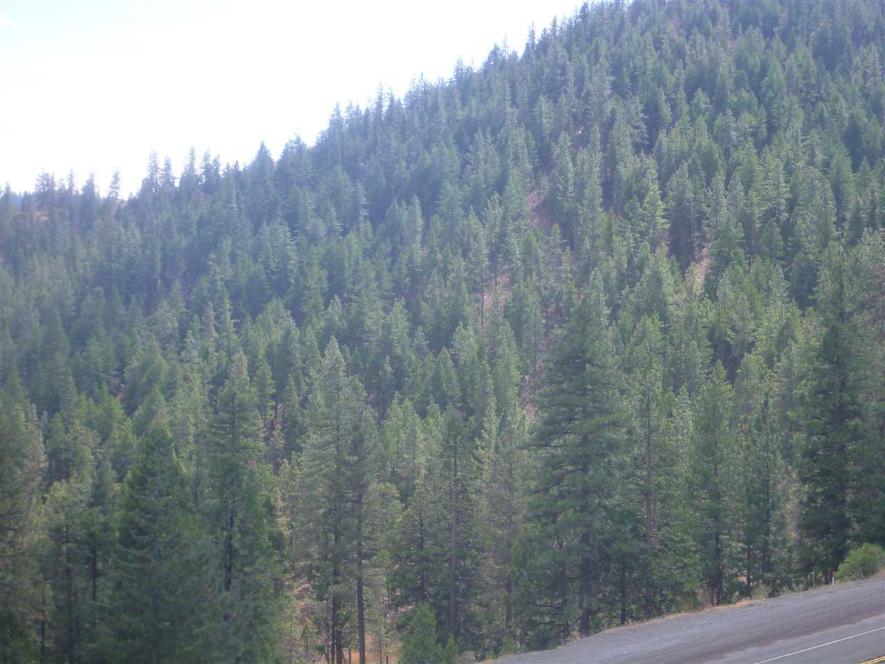 Robbers Rock, Yreka, CA 96097 MLS 113018 Redfin
