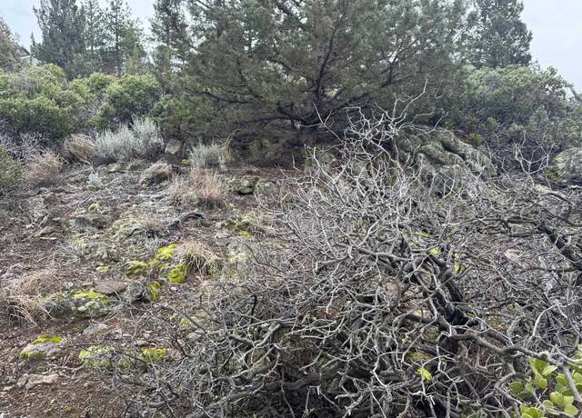 Property at Unit 4 Lot 405 Condor, Weed, CA 96094