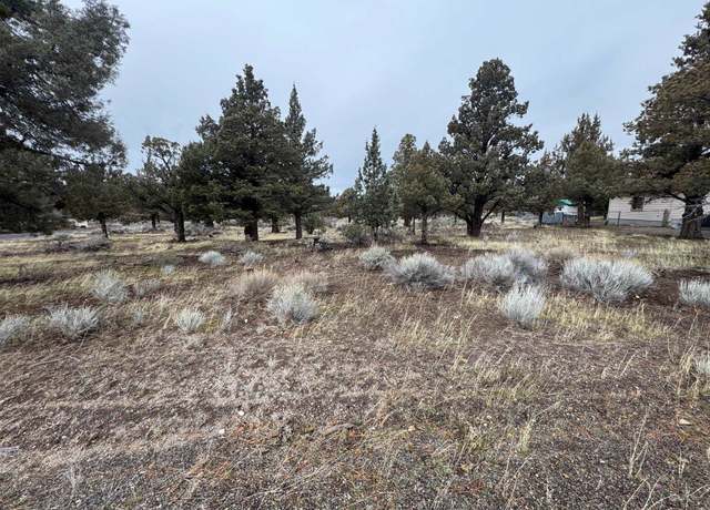 Property at Unit 8-2 Lot 55 Lakeside Dr, Weed, CA 96094