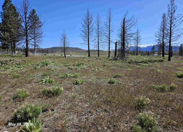 Property at Lot 116 Buffalo, Weed, CA 96094