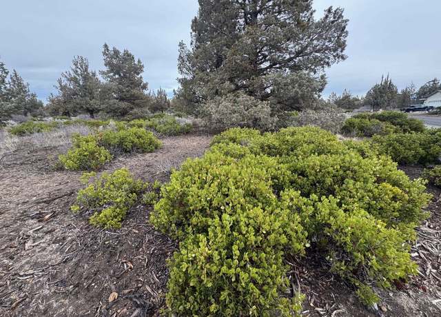Property at Unt 8-1 Lot 162 Woodside Rd, Weed, CA 96094