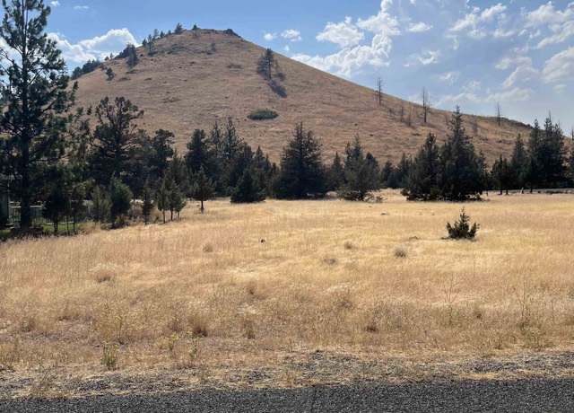 Property at Lot 160 Mt Blanch Dr, Weed, CA 96094