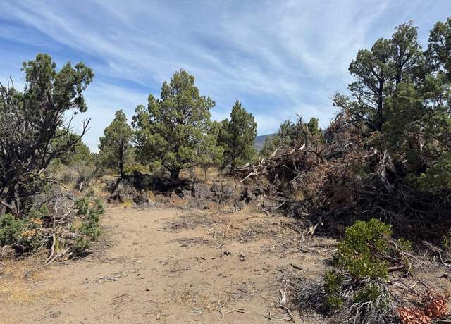 Property at Blk 19 Lot 4 Placone Dr, Montague, CA 96064