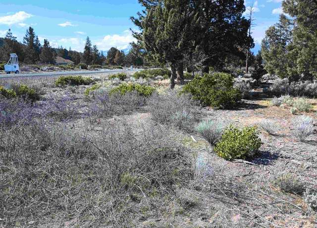 Property at 8-1/265 Rockwood Rd, Weed, CA 96094