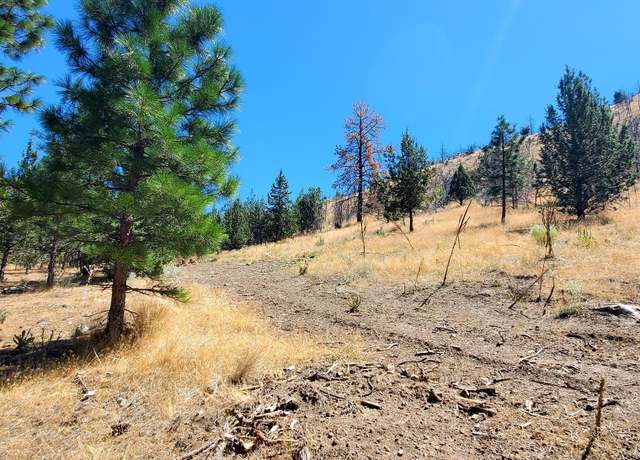 Property at Lots 55 & 56 Tennis Ct, Weed, CA 96094