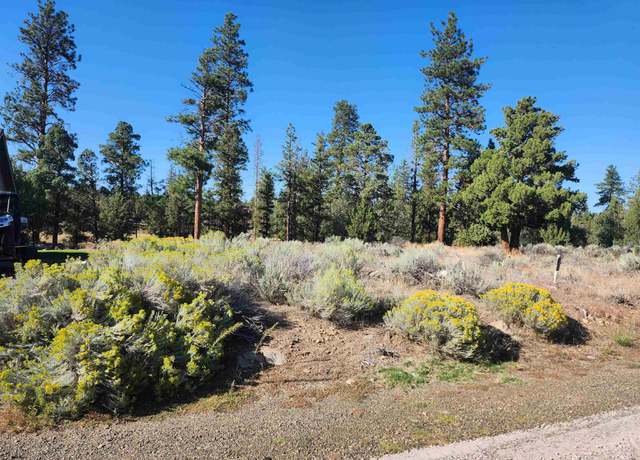 Photo of Lot 273 Riverside Dr, Weed, CA 96094