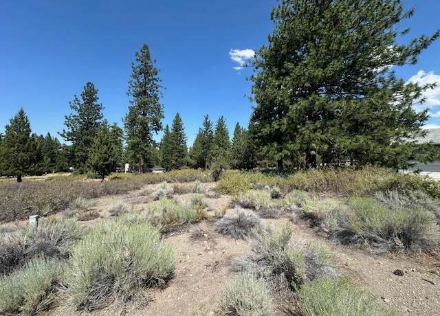 Property at 7-1/45 Mule Deer Ct, Weed, CA 96094