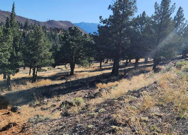 Photo of Lot 155 Stag Mtn, Weed, CA 96094