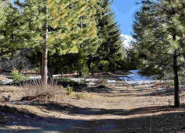 Property at parcel 3 Deetz Rd, Mt Shasta, CA 96067