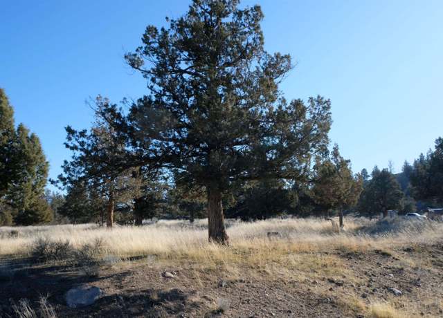 Property at Lot 218 Mountain Wood Dr, Weed, CA 96094