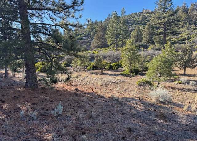Property at Unit 5 Lot 12 Palmer Dr, Weed, CA 96094