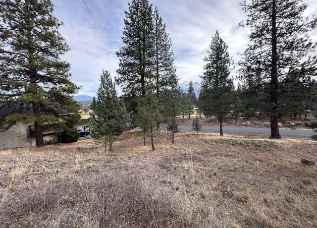 Property at 5-3/276 Palmer Dr, Weed, CA 96094