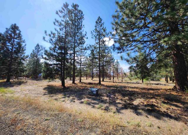 Property at Lot 131 Fisher Rd, Weed, CA 96094