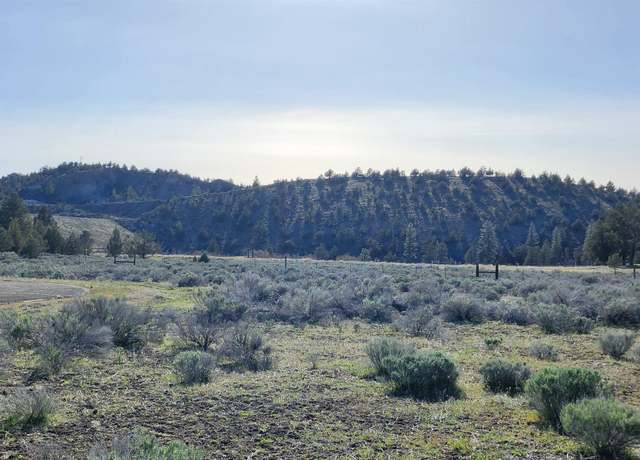 Property at Lot 30 Silver Spur, Weed, CA 96094