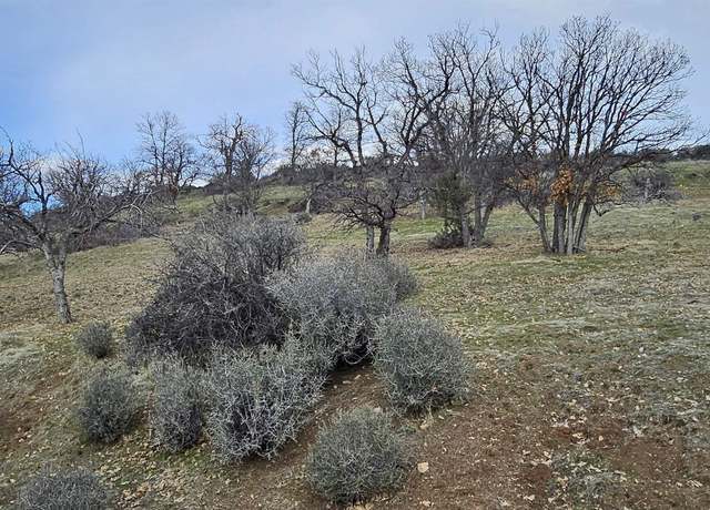 Property at Lot 215 Rainbow, Hornbrook, CA 96044