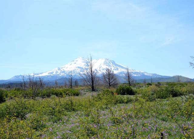Property at 20 Acres Lot 46 Juniper Valley Cir, Weed, CA 96094