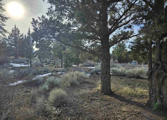 Property at Lot 32 Lakeside Ct, Weed, CA 96094