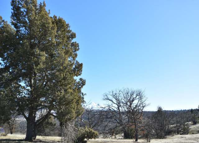 Property at Lot 485 Erick Ln, Hornbrook, CA 96044