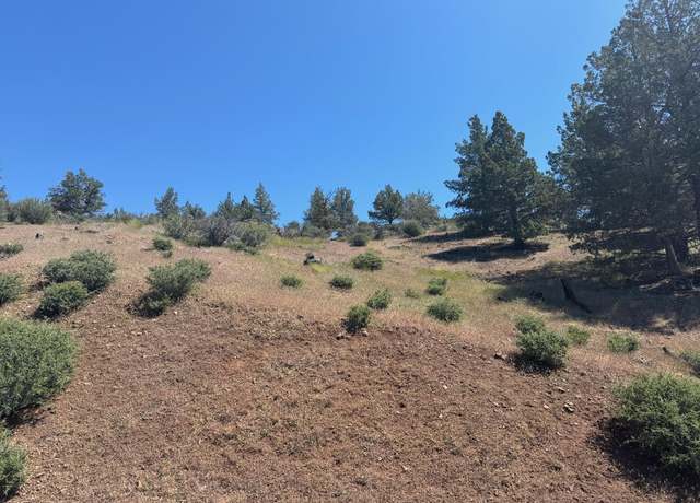 Property at Unit 4 Lot 119 Desavado Rd, Montague, CA 96064
