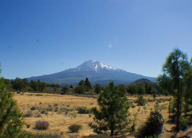 Property at 62.93 acres High Chaparral Dr, Weed, CA 96094