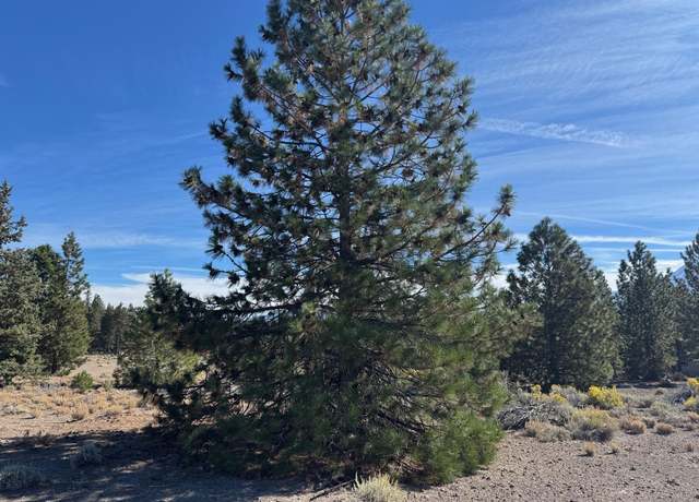 Property at Unit 4 Lot 327 Indian Is, Weed, CA 96094